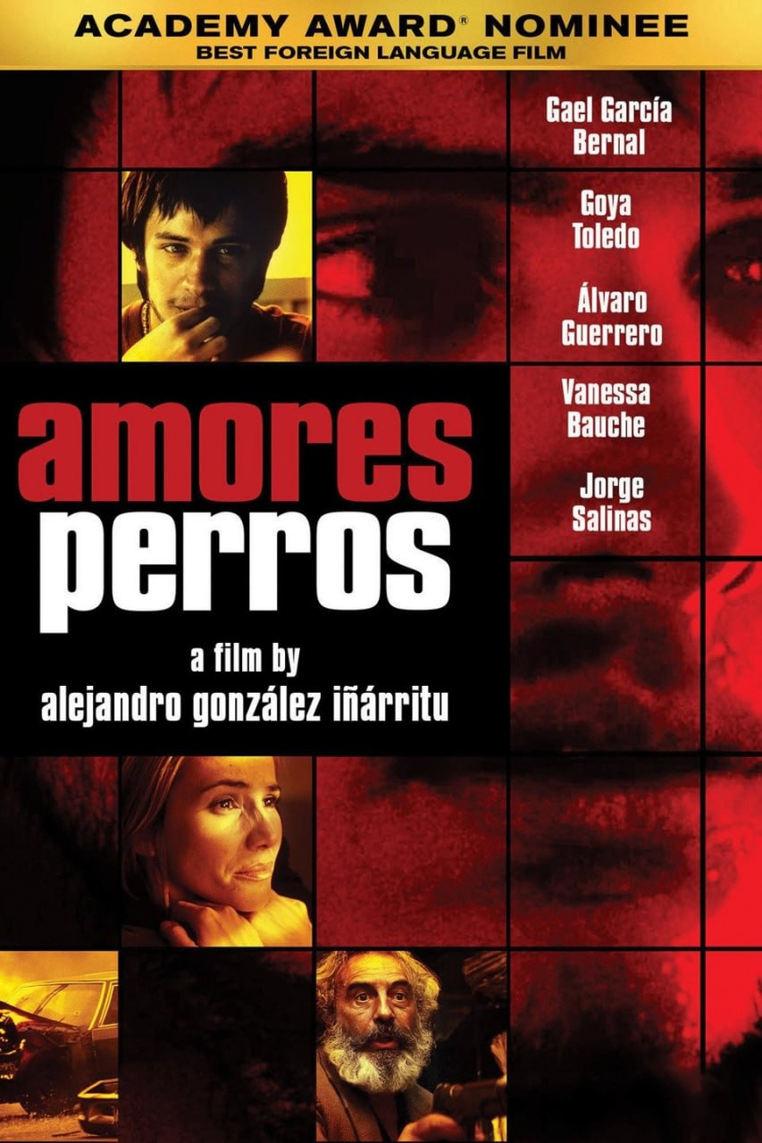 amores perros کاور