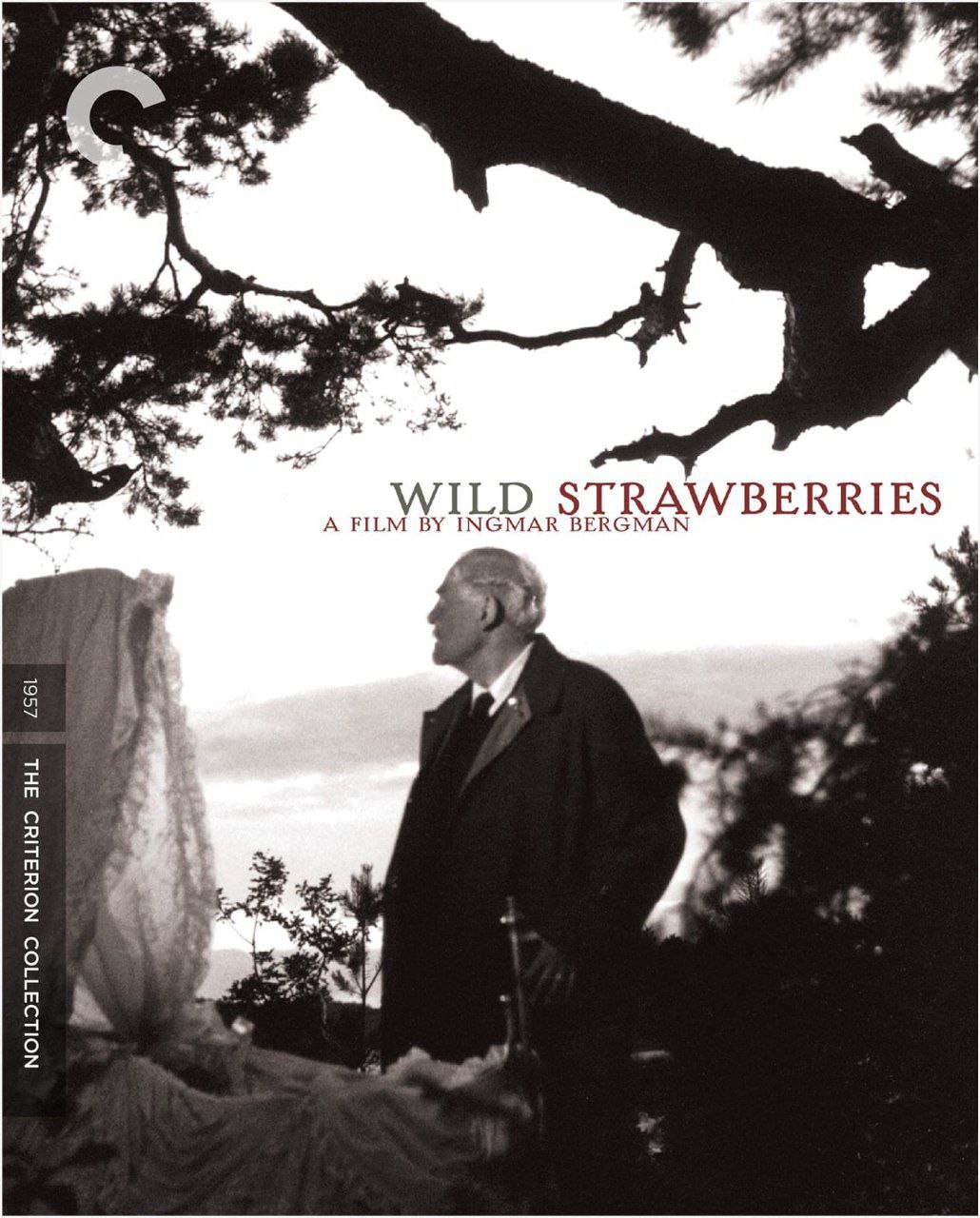 Wild Strawberries کاور
