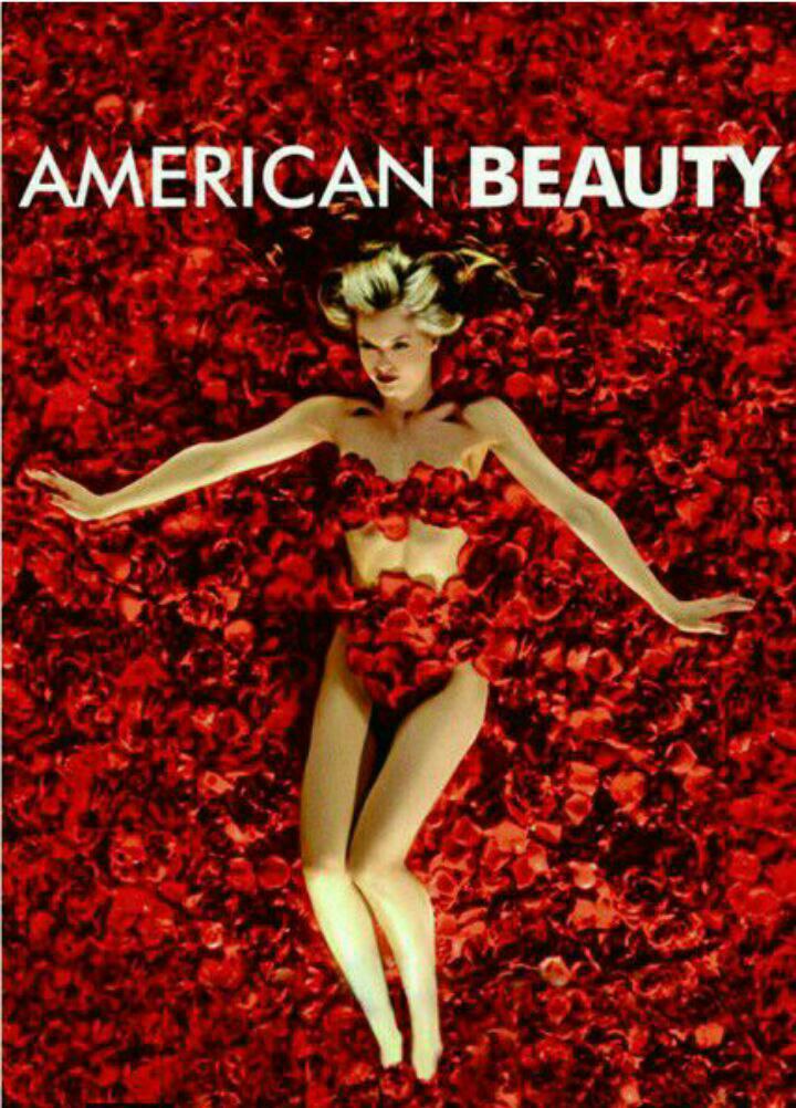 American Beauty کاور